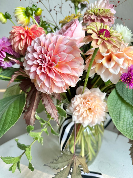 Hollyhill Orange Ice